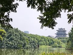 -海珠湖公园