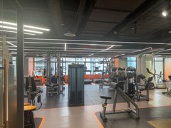 -健身专家Wellness Experts