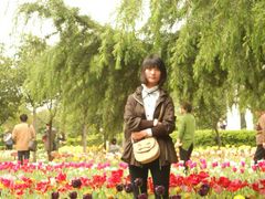 -洛阳郁金香牡丹园