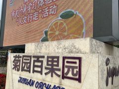 -菊园百果园
