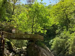 -西岭雪山大飞水景区
