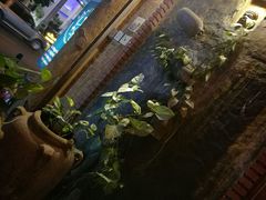 -Lanterns Vietnamese Restaurant