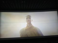 -大雷新疆特色小吃·椒麻鸡