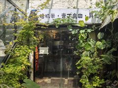 -吉丁鸟咖·异宠·寄养