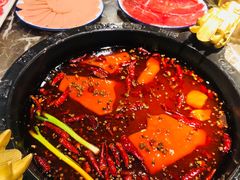 牛油红锅-蜀辣居鲜货老火锅(红牌楼店)