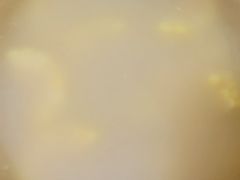 -大鹏饭店·金陵家宴(奥体中心店)