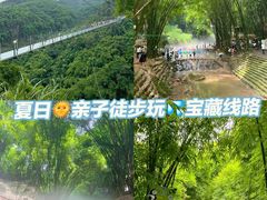 -川西竹海景区
