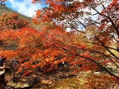 -本溪老边沟风景区