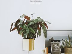 -隹木咖啡馆(宝龙广场店)