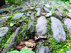-国家植物园