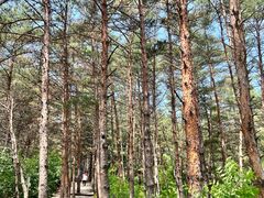 -帽儿山国家森林公园