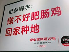 -晓彭肥肠鸡·泡椒鸡火锅(水木天地店)