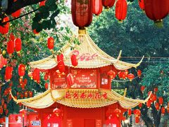 -越秀西湖花市(广州城市广场花卉店)