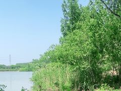 -翠湖国家城市湿地公园