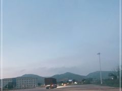 -张金涛熏鸡(x560店)