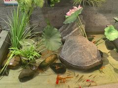 -严记小天府酸菜鱼(西四路店)