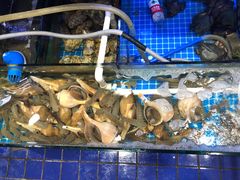 水产区-金龙·打边炉(武进路店)