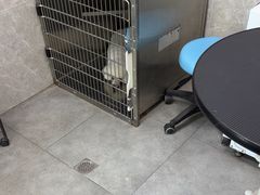 -瑞鹏宠物医院·骨外科·心肾科·肿瘤科(九亭店)