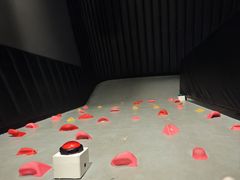 -安徽广播电视台