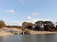 景点-东莞植物园