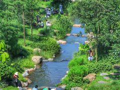 -云溪植物园