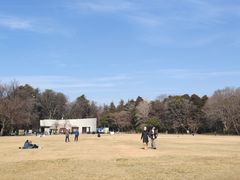 -井之头恩赐公园