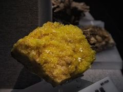 -贵州省地质博物馆