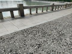 -白鹭洲公园