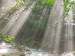 -本溪汤沟绿石谷森林公园