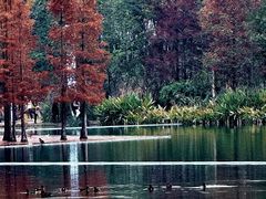 -白鹭湾湿地公园