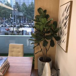 大厅-THE LOG SALON 记录
