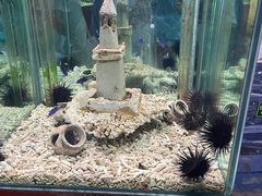 -太平洋海底世界