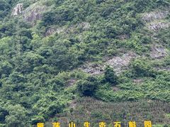 -雁荡山大龙湫景区