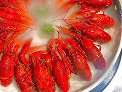 -沪小胖小龙虾(淮海中路旗舰店)