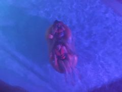 -青岛东方影都融创水世界