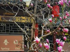 -碑林公园