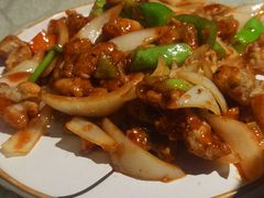 焦溜肥肠-华盛园卷子王农家菜水库鱼