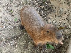 -泉州海丝野生动物世界