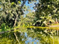 -海南热带野生动植物园