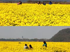 -西山风景区