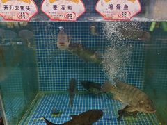 -天鲜阁·海鲜粤菜·33年老字号(石槎白云站店)