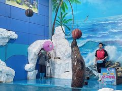 -左海海底世界