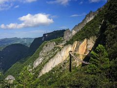 -武陵山森林公园
