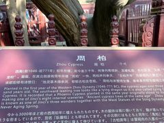 -晋祠公园