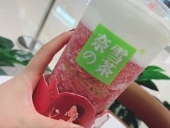 -奈雪的茶(石家庄万象城店)