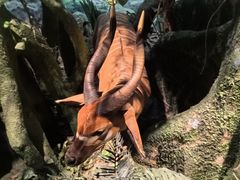 -浙江省科技馆