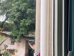 -百家春好德来姜母鸭