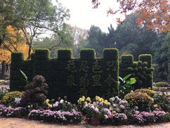 -汇龙潭