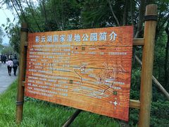 -重庆彩云湖湿地公园