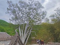 -潭柘寺景区